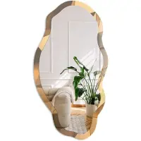 Coloray Ruimtelijk Patroon Spiegel - Beige Elegante Rechthoekige Wandspiegel - Organische Spiegel - Kantoor, Woonkamer, Hal - Geometrisch - 45x90 cm - Totale afmeting 52x97 cm
