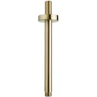 Boss & Wessing Luxe douche-arm rond plafondbevestiging 20 cm geborsteld messing goud