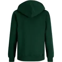JACK&JONES JUNIOR Junior Sweatshirt 'JORFrederiksberg' donkergroen / cranberry / wit