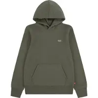 Levi's Kids Sweatshirt olijfgroen