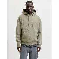 Jack & Jones Sweatshirt 'JJEAce' pastelgroen