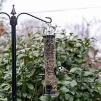 Cj Wildlife Voedersilo Amsterdam 4 openingen - Zwart |