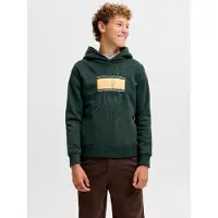 Jack & Jones Junior Sweatshirt 'JJBuster' geel / donkergroen