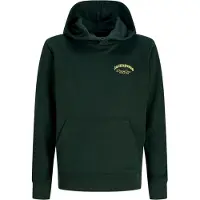 Jack & Jones Junior Sweatshirt 'JJEBrandes' geel / donkergroen