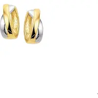 TFT Klapcreolen 4,0 Mm Bicolor Goud Glanzend