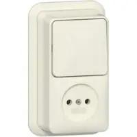 Gira Combinatie Wipschakelaar/Wandcontactdoos Zonder Randaarde - 2-Polig - 16 A - 250 V