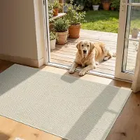 Famanu – Antislip deurmat 81 x 122 cm, ultradun en machinewasbaar, voor binnen en buiten gebruik