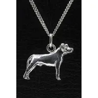 MOOYE ® - Collectie Zilveren Ca canario oren ongecoupeerd ketting hanger - groot