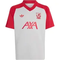 Adidas Functioneel shirt 'FC Liverpool 26/27' grijs / rood