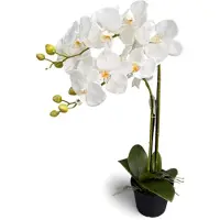 Oosterik Home Orchidee wit in pot H 63 cm kunstplant