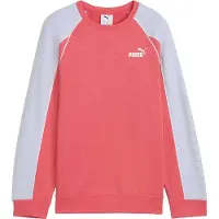 Puma Kinderen Sportstijl Relaxed Fit Raglan Lange Mouwen Sweater (Perzik)