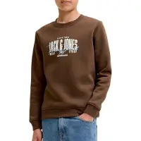Jack & jones Junior Sweatshirt 'JJAERO' lichtblauw / bruin / wit
