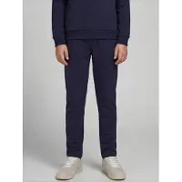 JJ REBEL Broek 'JREBCREST' navy