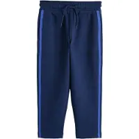 Next Broek navy / royal blue/koningsblauw