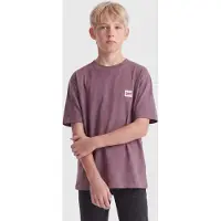 Only & Sons Junior Shirt 'OSJFred' kastanjebruin