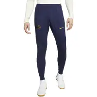 Nike PSG-slimfit-joggingbroek voor heren (Blauw)