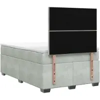 vidaXL Boxspringbed met matras Lichtgrijs 120 x 200 cm Fluweel