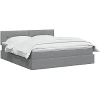 vidaXL Opbergbed met matras Lichtgrijs 160 x 200 cm fluweel