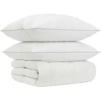 vidaXL 90% Ganzendons Deken Set FULDA 3 st 220 x 260 cm Winter 300 GSM