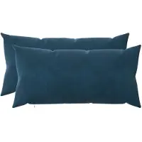 vidaXL Kussen met kussen HEERLEN 2 st Blauw fluweel