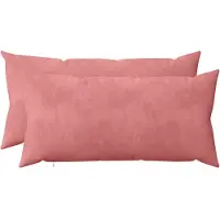 vidaXL Kussen met kussen HEERLEN 2 st Roze fluweel