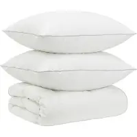 vidaXL 90% Ganzendons Deken Set FULDA 3 st 155 x 220 cm Alle seizoenen