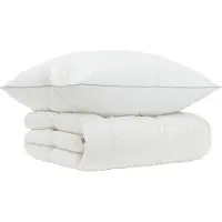 vidaXL 90% Ganzendons Deken Set FULDA 2 st 155 x 200 cm Alle seizoenen