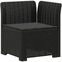 vidaXL 4-Zits Tuin Sofa met Kussens Rieten Look PP Antraciet