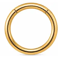 Cilla Jewels Goudkleurige Gladde Damesneusring met Clickersluiting