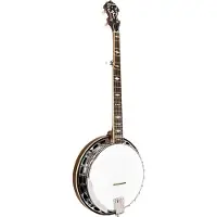Gold tone Mastertone OB-150:Orange Blossom 5-snarige banjo met koffer