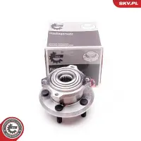 ESEN SKV 29SKV168 Wiellagerset