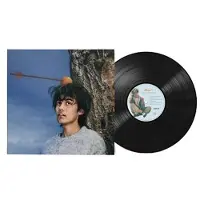 Universal Music Aron! - Too Close For Running (LP)