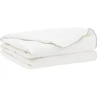 vidaXL Dekbed FULDA 220 x 260 cm Zomer 100 GSM 90% Gansendons Wit