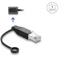 DeLOCK USB Type-C Network Adapter Gigabit LAN 1 x RJ45 plug