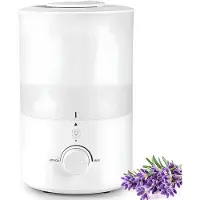 SP Lucht Bevochtiger - Capaciteit 3 Liter - Humidifier - Luchtbevochtiger - Wit -19cm x 21cm x 30cm