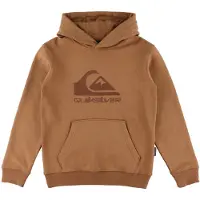 Quiksilver - Kid's Comp Logo Hoodie - Hoodie 12, oranje