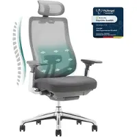 COLAMY ATLAS: Ergonomische bureaustoel met netrug – Chefstoel met hoofdkussen, 4D-armleuningen, verstelbare zitting en neigingsvergrendeling, donkergrijs