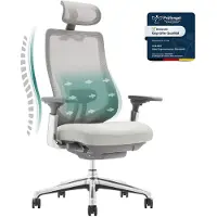 COLAMY ATLAS: Ergonomische bureaustoel met netrug – Chefstoel met hoofdsteun, 4D-armleuningen, verstelbare zitting en neigingsvergrendeling, grijs