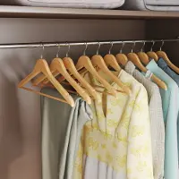 Songmics Houten kledinghangers – Massief hout – Natuurlijk – Set van 20 met inkepingen en antislipstrip, 360° draaibare haak