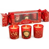 WDMT Set van 3 kerst geurkaarsen – geurkaarsen in rood bedrukt glas – luxe