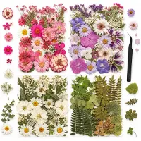 BOTC Natuurlijk Gedroogde Bloemen - Droogbloemen - 110+ stuks - voor Hars sieraden, Scrapbooking, Doe-het-zelf zeep, Kaarsen en nageldecoratie