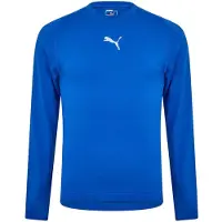 Puma Heren Performance Plain Vent Athletic Shirt (Blauw)