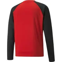 Puma Heren TeamLIGA Langsleeve T-Shirt (Rood/Zwart)