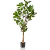 Green Boutiq Kunstplant - Polyscias - Aralia - 150 cm