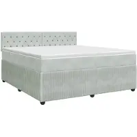 vidaXL Boxspringbed met matras Lichtgrijs 160 x 200 cm Fluweel