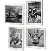 Coloray 4-Delige Schilderij Set - Wilde Dieren: Leeuw, Jaguar, Giraffe En Zebra'S - 40 x 40 En 40 x 60 - Decoratieve Schilderijen - Woonkamer - Interieur - Moderne Wanddecoratie