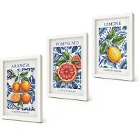Coloray 3-Delige Schilderij Set - Trendy posters met citrusvruchten in Italiaanse stijl - 20x30 - Wanddecoratie - Muurdecoratie - Moderne Interieurdecoratie - Woonkamer Decoratie