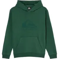 Quiksilver - Kid's Comp Logo Hoodie - Hoodie 16, groen