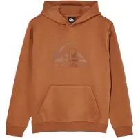 Quiksilver - Kid's Comp Logo Hoodie - Hoodie 8, oranje