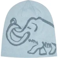 Mammut - Logo Beanie Reversible - Muts One Size, blauw